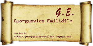 Gyorgyevics Emilián névjegykártya